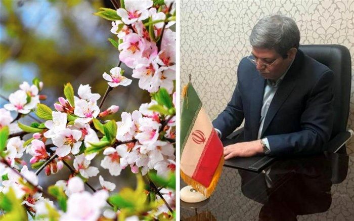 پیام جواد حسینی به مناسبت اعیاد شعبانیه و فرارسیدن سال جدید