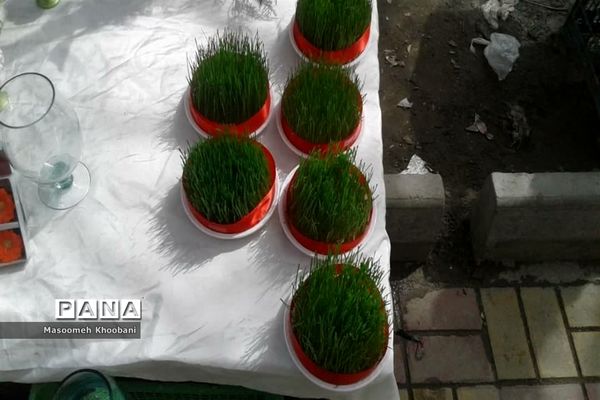 سال جدید و جوانه زدن شادی در دل مردم