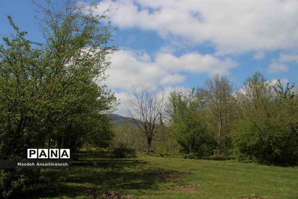 طبیعت بکر روستای کچا