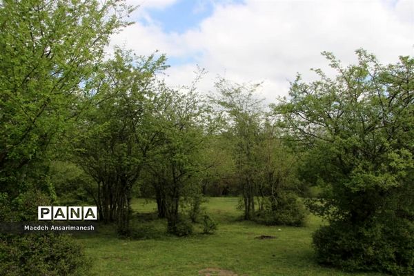 طبیعت بکر روستای کچا