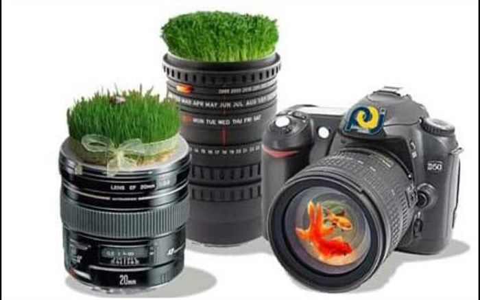 برگزاری مسابقه عکاسی عیدانه در فشافویه