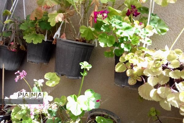 جلوه‌های طبیعت و پیدایش بهار در خاورشهر