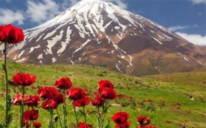 سفری بر بلندای کوهی استوار