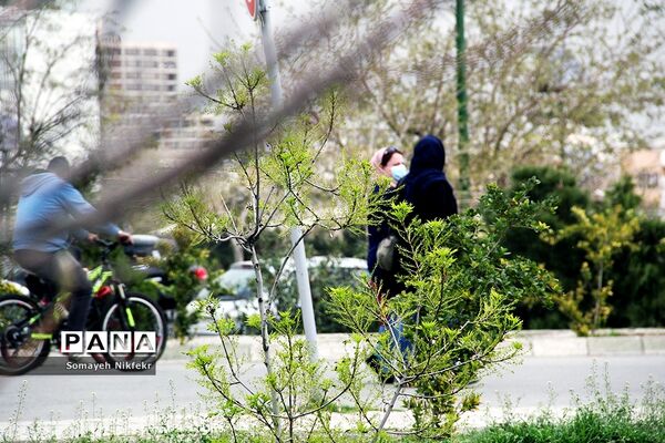 پارک پردیسان تهران میزبان پرواز بادبادک‌ها بر فراز آسمان
