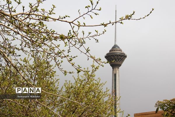 پارک پردیسان تهران میزبان پرواز بادبادک‌ها بر فراز آسمان