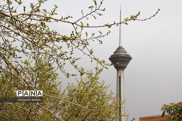 پارک پردیسان تهران میزبان پرواز بادبادک‌ها بر فراز آسمان