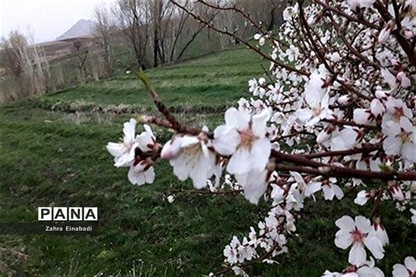سفری به روستای عین آباد