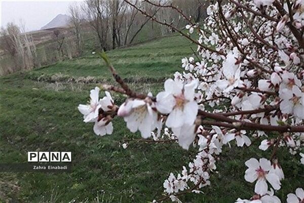 سفری به روستای عین آباد