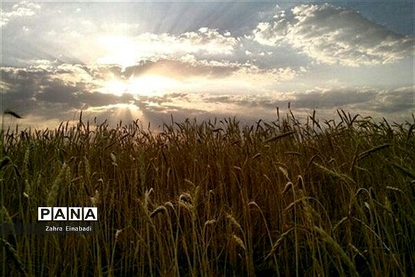 سفری به روستای عین آباد