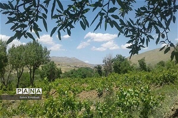 سفری به روستای عین آباد