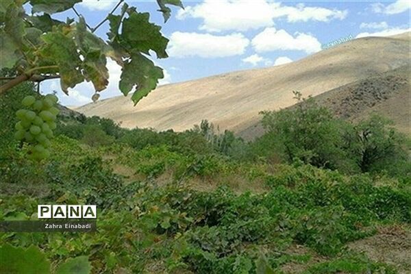 سفری به روستای عین آباد