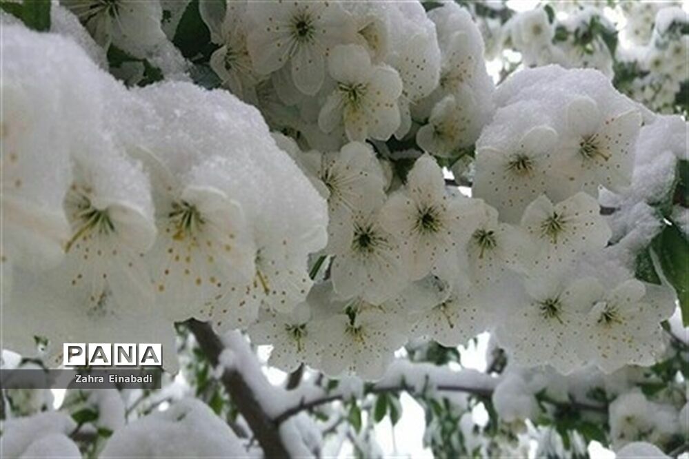 سفری به روستای عین آباد