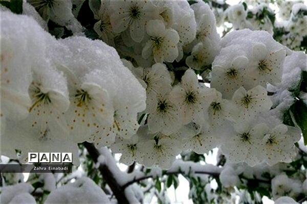 سفری به روستای عین آباد