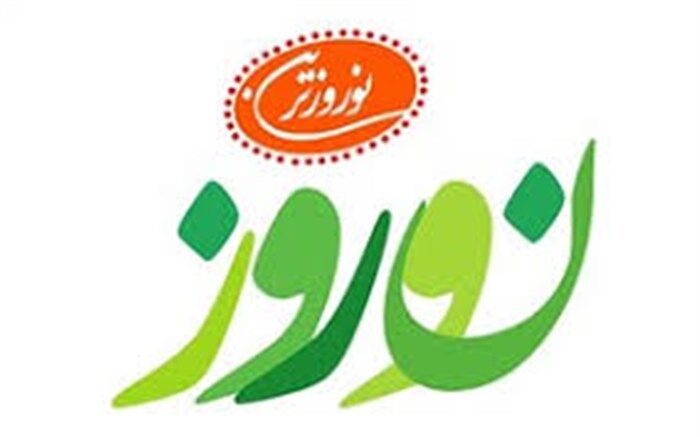 فاطمه سلمانزاده: نفس تدریس، آموزش چهره به چهره است
