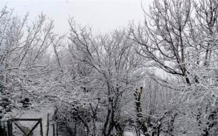 بارش برف مناطق کوهستانی املش را سفیدپوش کرد