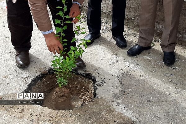 کاشت درخت به مناسبت آغاز بهار در شهرستان کارون
