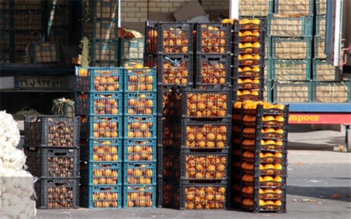 جدیدترین قیمت میوه در بازار