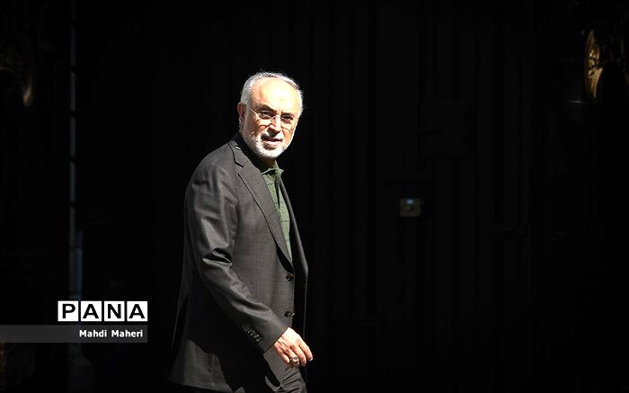 صالحی : بن بست برجام در حال شکسته شدن است