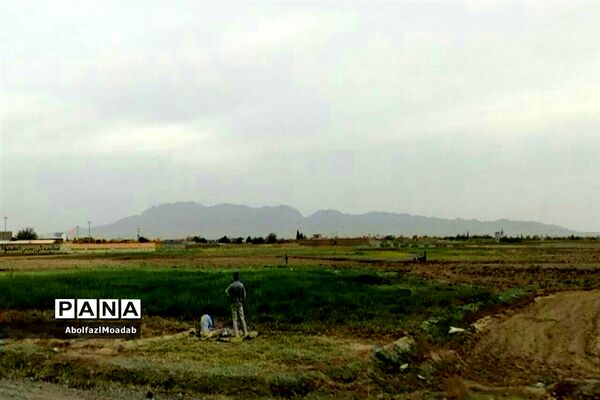 طبیعت  و بهاردر روستا های   شهرستان کاشمر