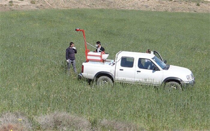 دیده‌بانی چهار میلیون هکتار از اراضی سیستان و بلوچستان برای مقابله با ملخ صحرایی