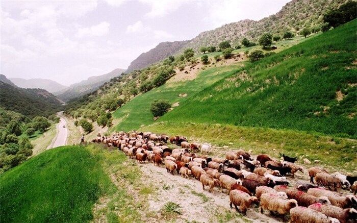 منابع طبیعی  کهگیلویه و بویراحمد از کوچ پیش از موعد عشایر جلوگیری می کند