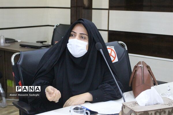 جلسه کار گروه نظارتی و ارزیابی طرح دانش‌آموز تراز انقلاب اسلامی