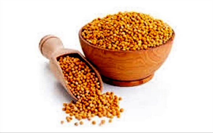 چربی سوزی با یک ماده غذایی سالم و مغذی