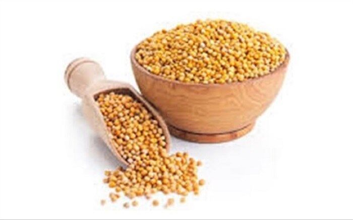 چربی سوزی با یک ماده غذایی سالم و مغذی