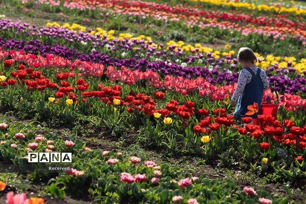 آغاز بهار در سراسر جهان