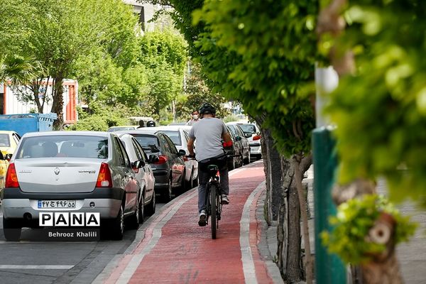 اینجا مسیر دوچرخه سواری است