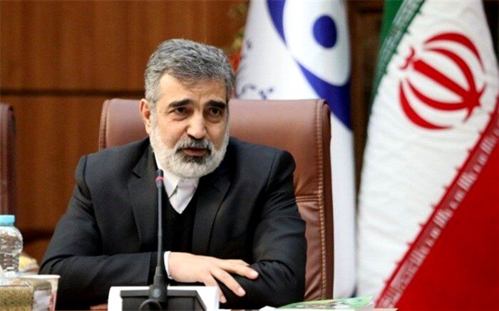 هدف‌گذاری تولید 40تن کیک زرد در سال 1400