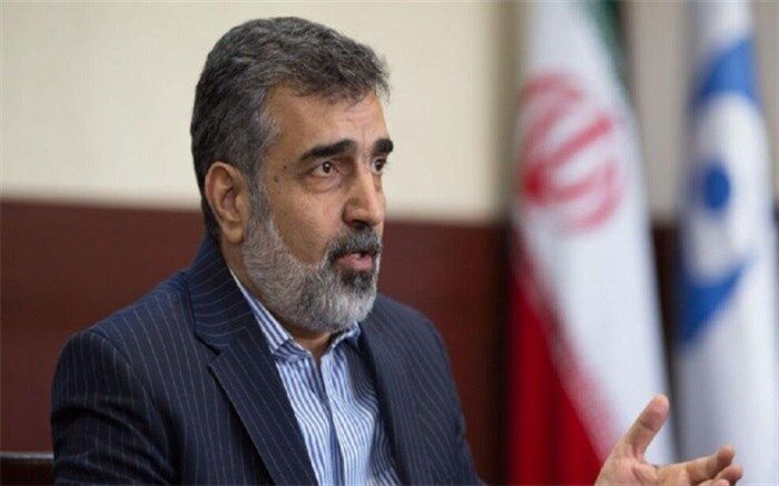 کمالوندی:مساله مهم برای ما لغو تحریمهاست
