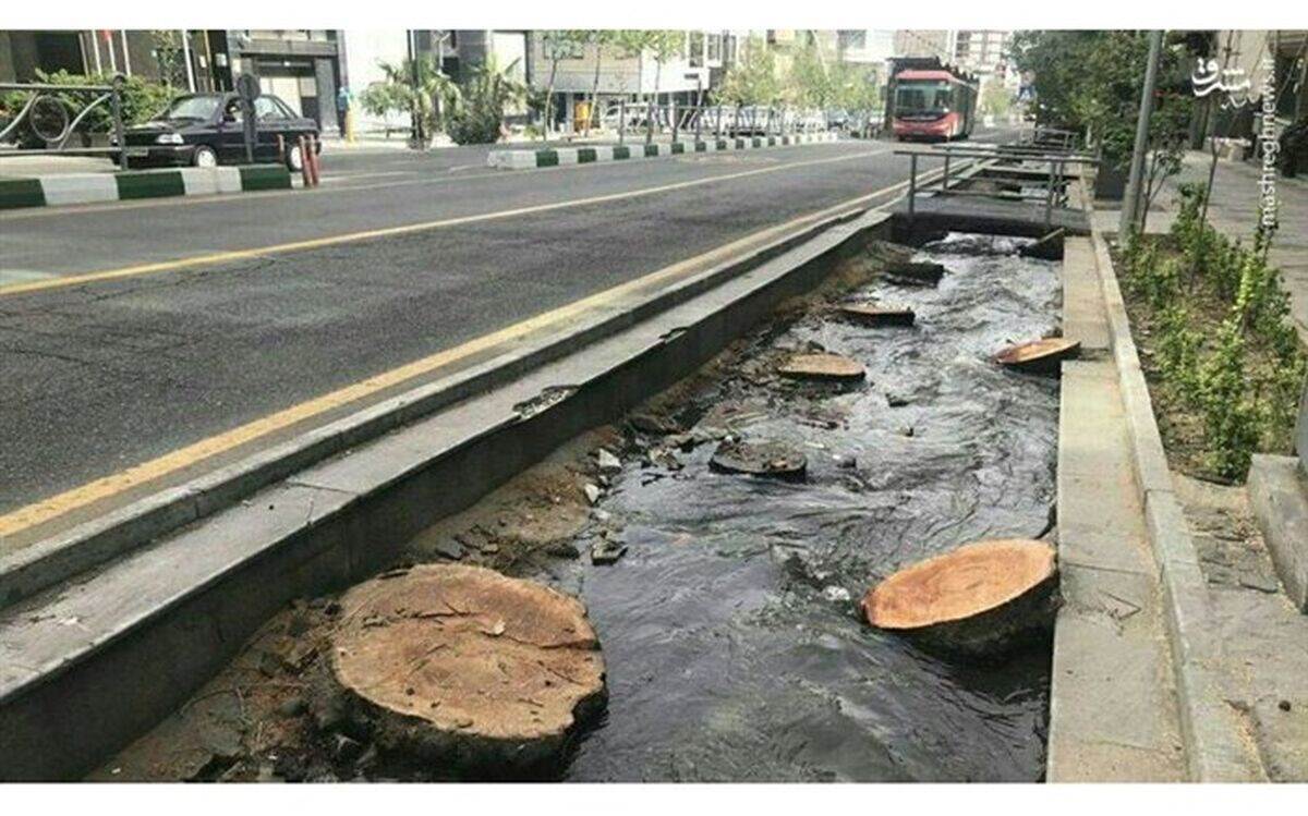 تبدیل خیابان ولیعصر به پیاده‌راه برای حفظ درختان آن
