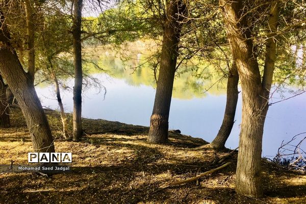 زیبایی فصل بهار در روستاهای بخش مرکزی چابهار