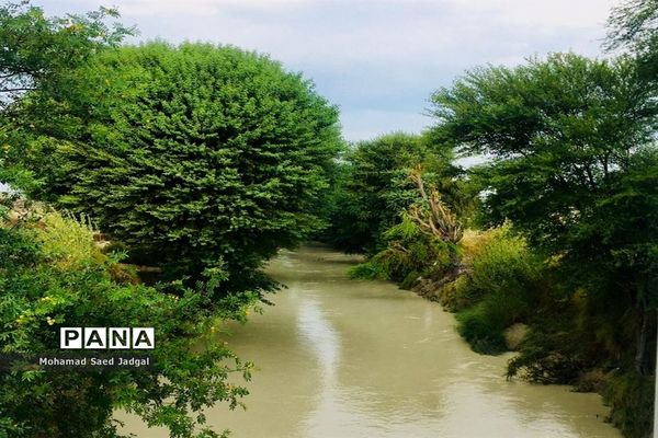 زیبایی فصل بهار در روستاهای بخش مرکزی چابهار