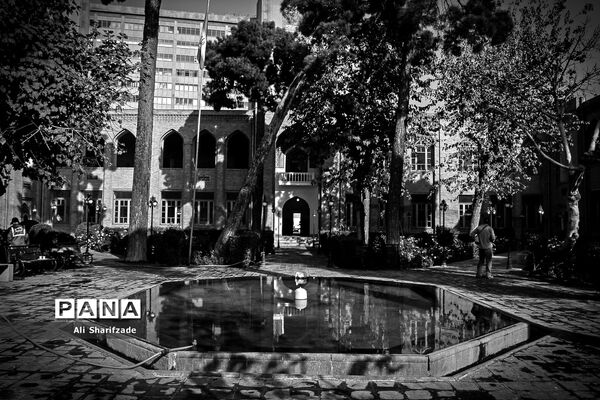 دارالفنون