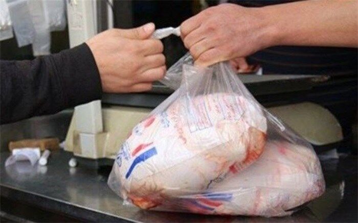 نیاز روزانه 250 تن مرغ در سیستان و بلوچستان چگونه برطرف می شود؟