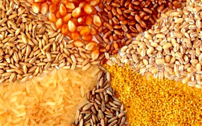 هیچ تخصیص ارزی برای واردات نهاده ها صورت نگرفته است