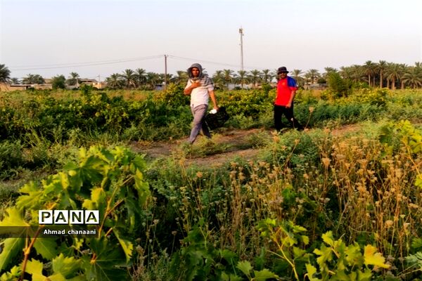 برداشت انگور در تاکستان‌های روستای بهر شهرستان کارون