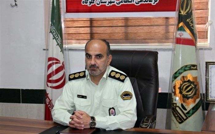 کشف 10 فقره سرقت منزل و مغازه در گلوگاه