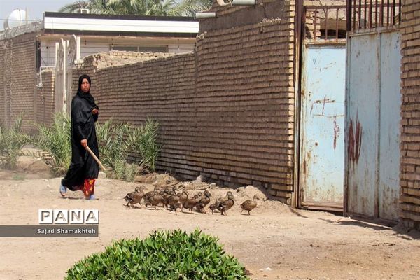 بازدید معاون توسعه روستایی و مناطق محروم رییس جمهوری از روستاهای دغاغله و بامدژ اهواز