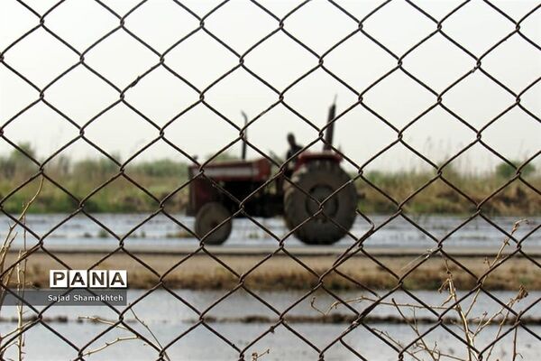 بازدید معاون توسعه روستایی و مناطق محروم رییس جمهوری از روستاهای دغاغله و بامدژ اهواز
