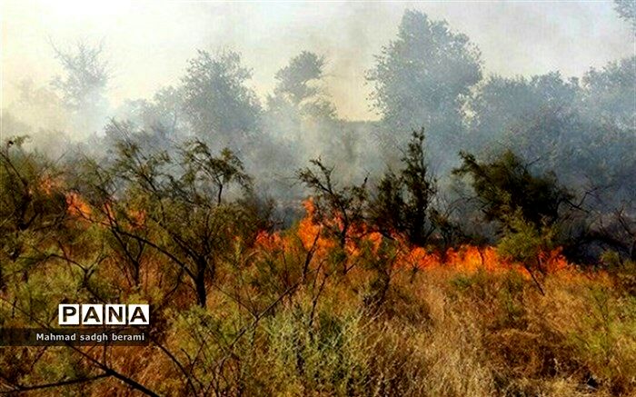 تلاش وزارت دفاع  برای مهار و کنترل آتش‌سوزی در کردستان و فارس