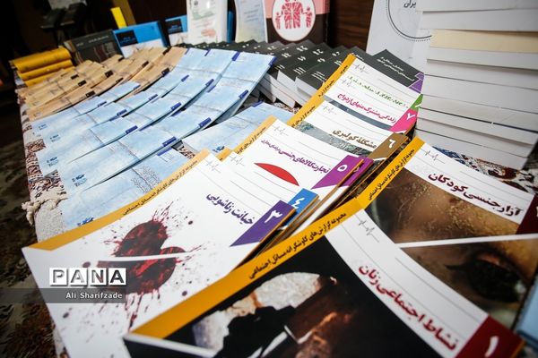 نشست شورای اجتماعی کشور