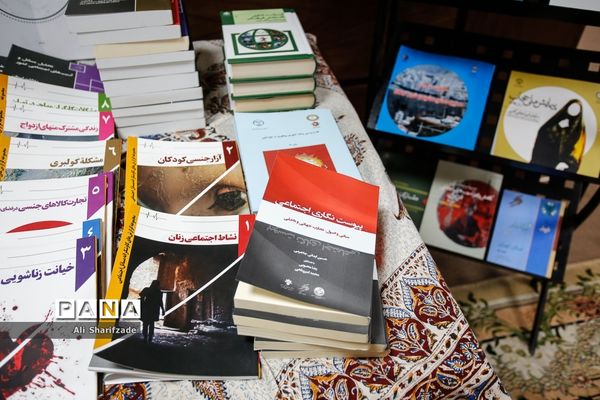 نشست شورای اجتماعی کشور