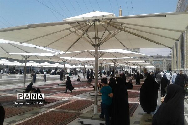 حال و هوای حرم مطهر رضوی در روز زیارتی  امام رضا علیه السلام