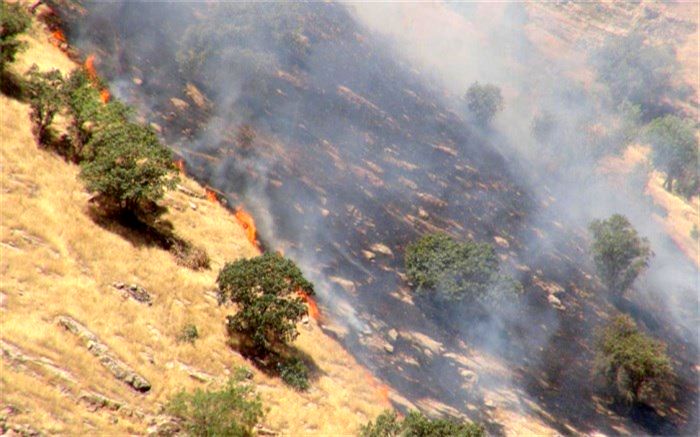 حریق جنگل‌های «نانه ویژه» مهار شد