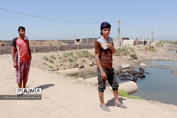 هور العظیم ؛انهدام زیبایی، ازدحام تنهایی