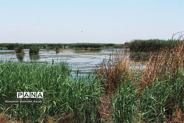 هور العظیم ؛انهدام زیبایی، ازدحام تنهایی