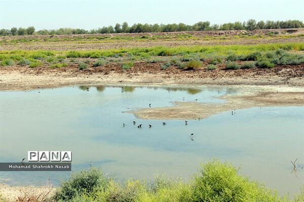 هور العظیم ؛انهدام زیبایی، ازدحام تنهایی